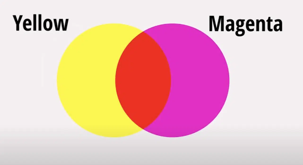 Step 5- Learn the Color Theory Behind It