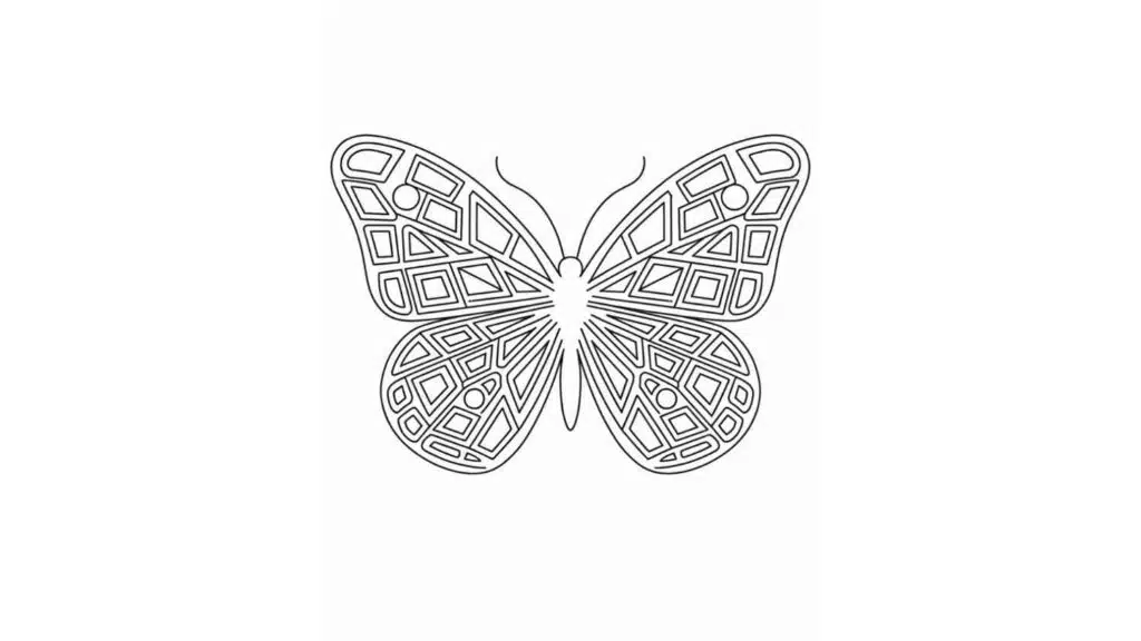 Abstract Butterfly Patterns