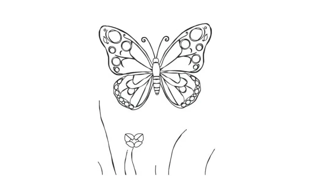 Butterfly with Circles