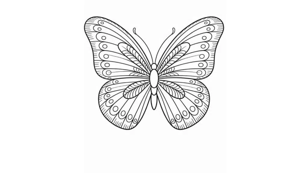 Butterfly with Aesthetic Feathers