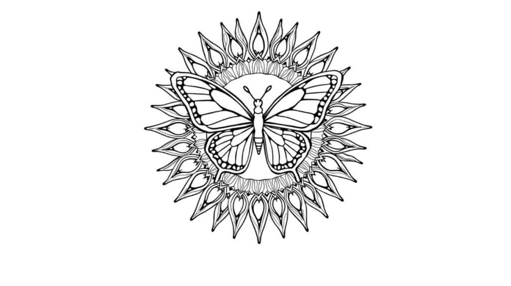 Butterfly with Mandala Sun
