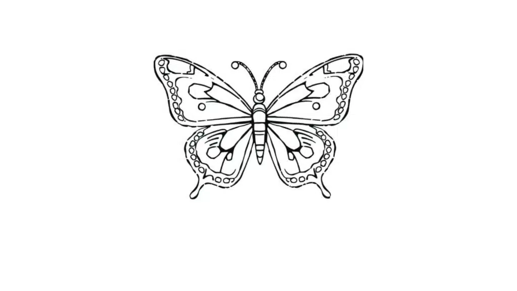 Butterfly with Simple Dots Pattern