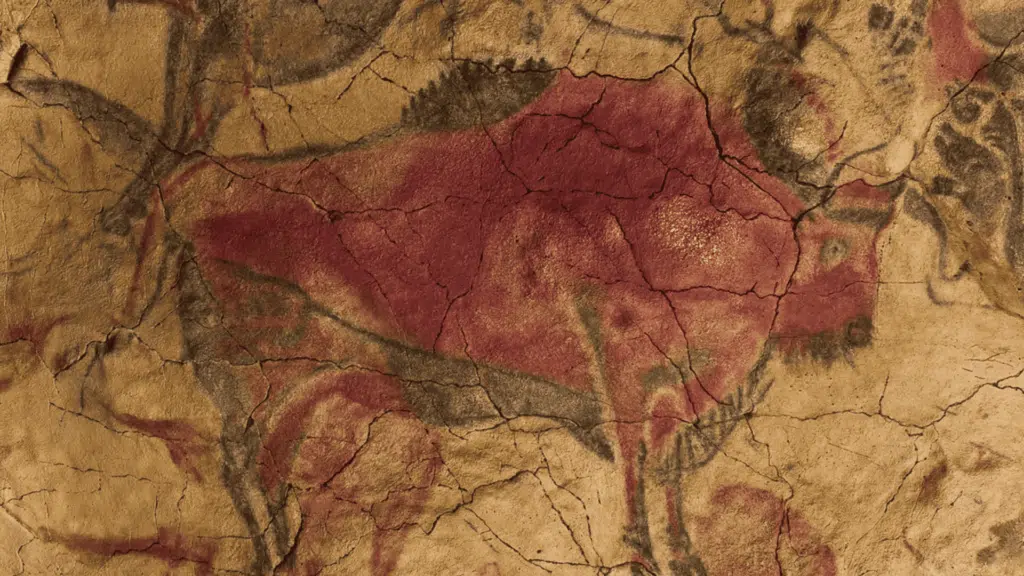 cave art images altamira cave