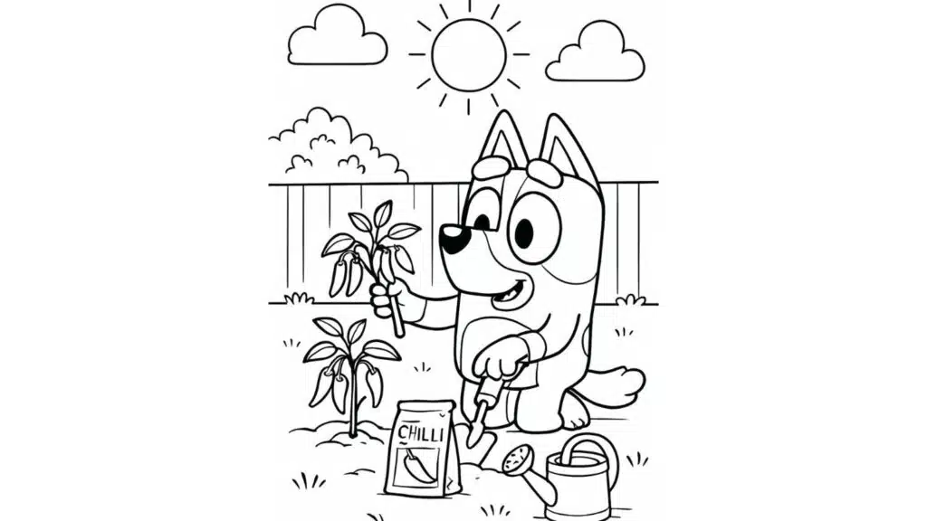 Chilli Gardening With Bingo