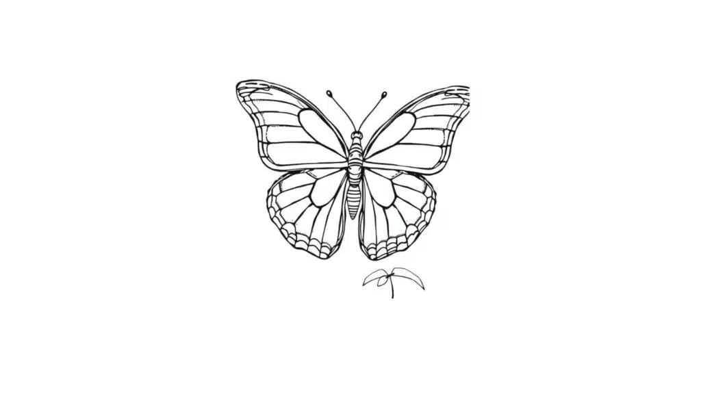 Blue Morpho Butterfly