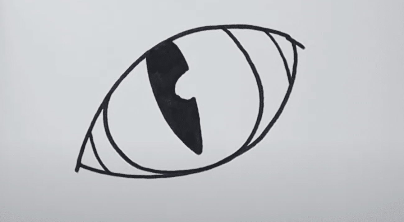 Draw the Pupil