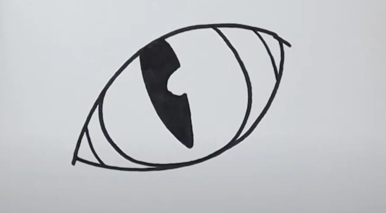 Draw the Pupil