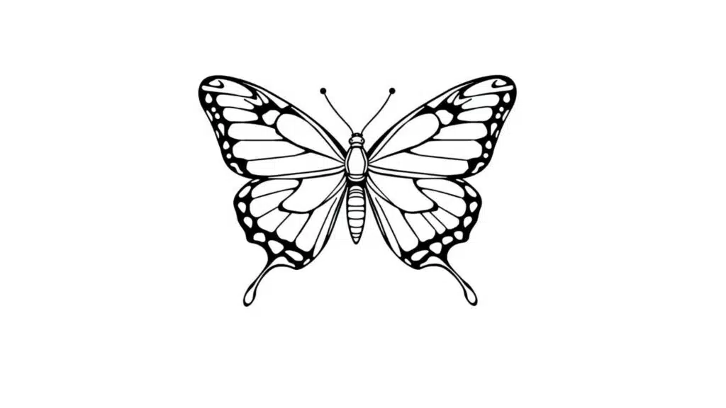 Swallowtail Butterfly Page