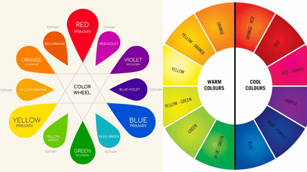 the color wheel