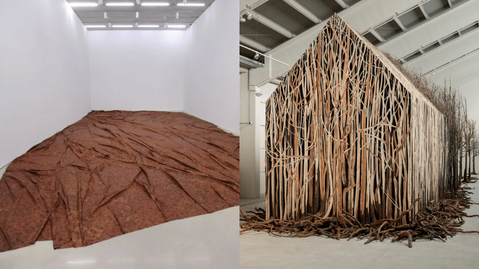 Doris Salcedo