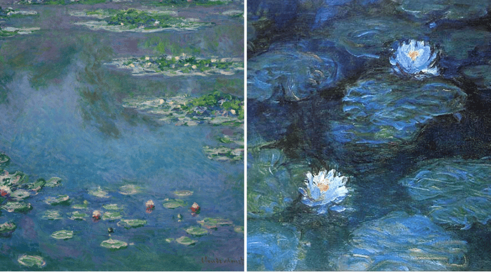 Water Lilies Series