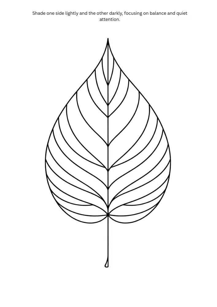 light and shadow study