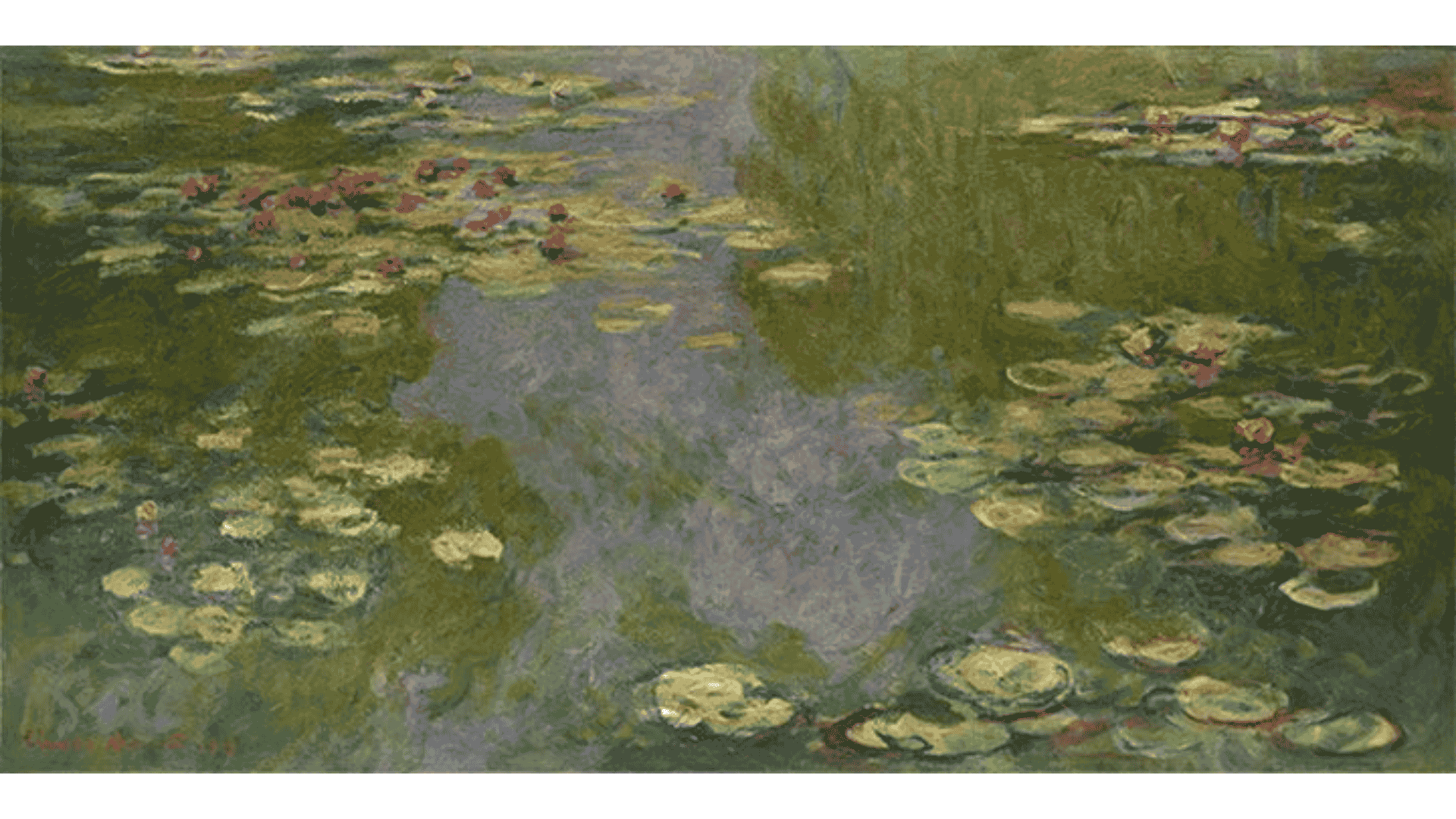 Water Lilies img