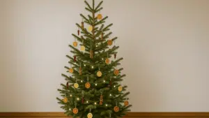 dried citrus and cinnamon tree