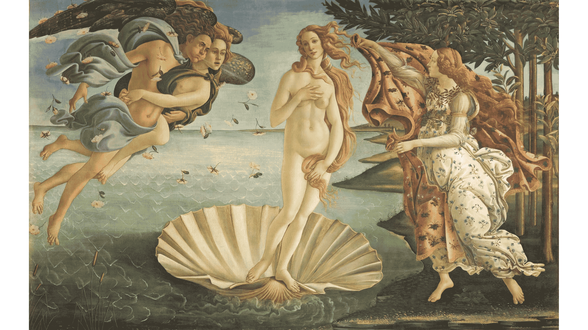 the birth of venus img