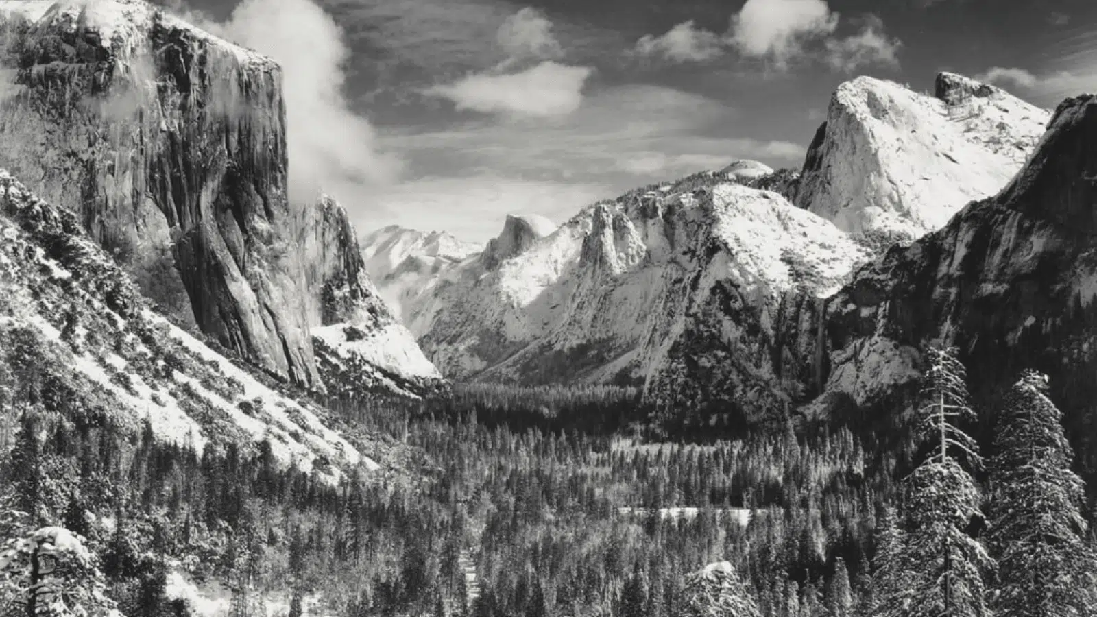 black and white landscape photograph of snow-covered mountains and trees, highlighting contrast and tonal depth in nature