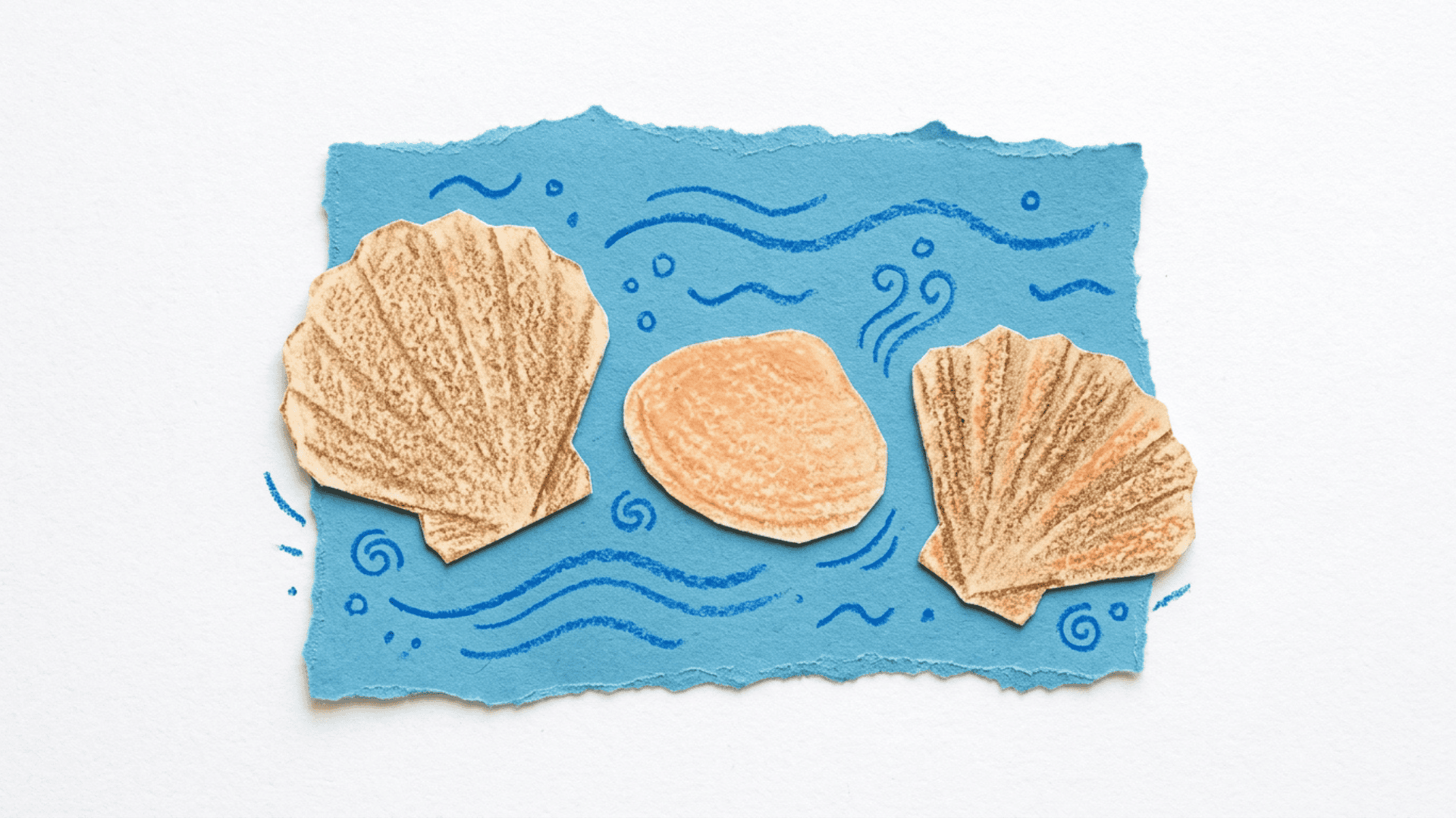 sandpaper seashell rubbings showing three shell shaped crayon rubbing pieces in beige brown and orange on a blue paper background