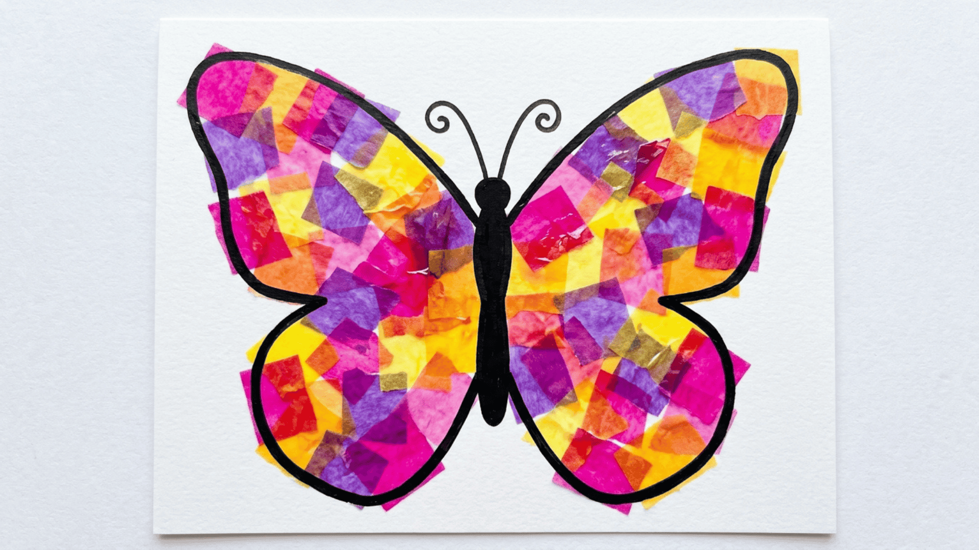 tissue paper butterfly craft showing large wings filled with overlapping pink purple yellow and orange tissue paper squares on white cardstock
