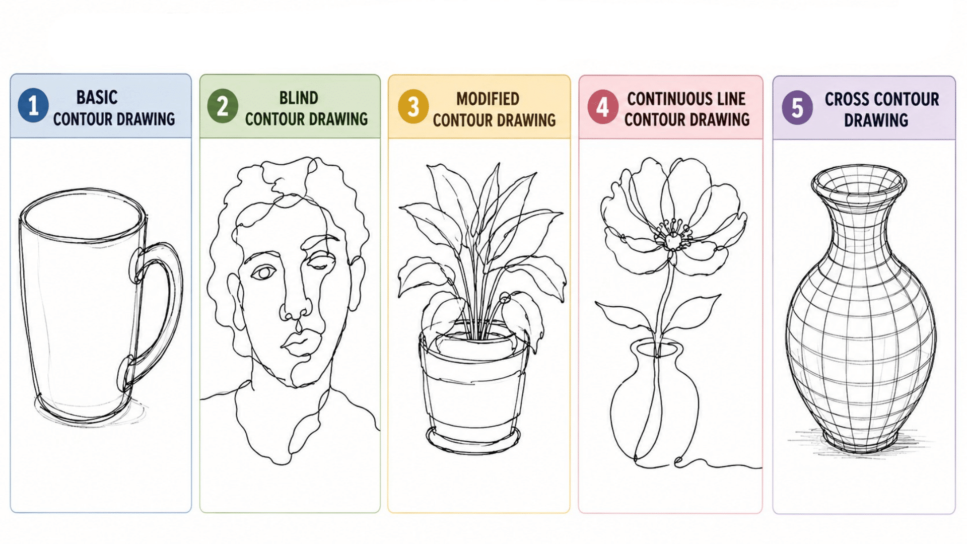 Infographic showing five contour drawing styles basic, blind, modified, continuous line, and cross contour with sketch examples.