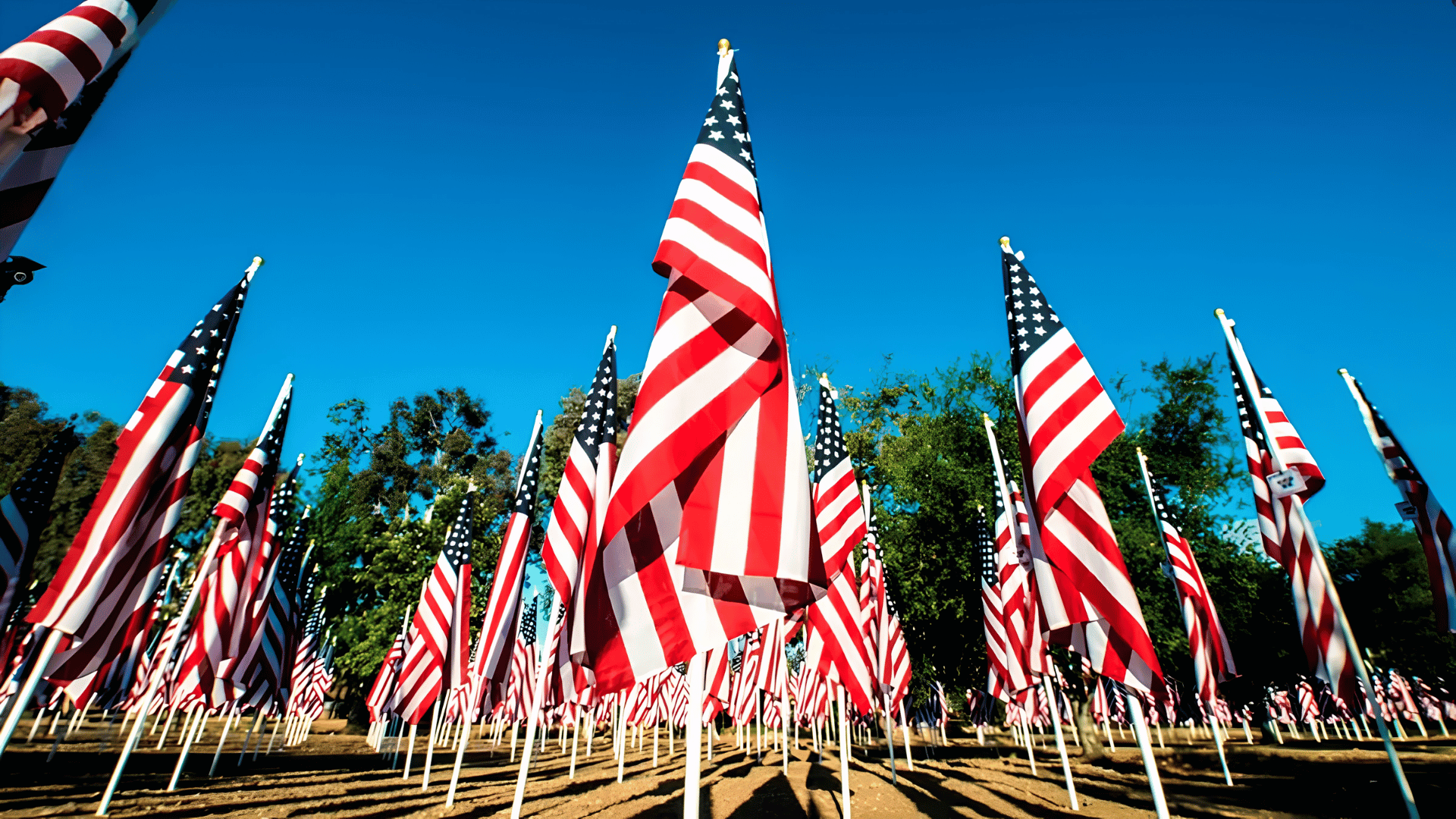 Rows of American flags on poles wave beneath a bright blue sky in an outdoor memorial field with trees