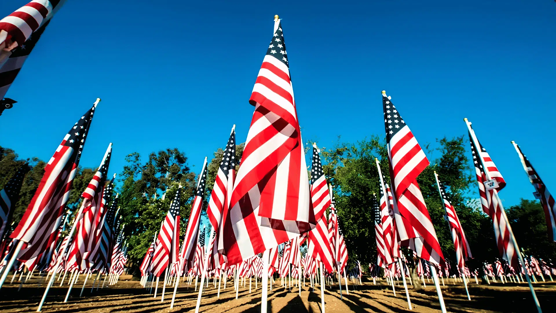 Rows of American flags on poles wave beneath a bright blue sky in an outdoor memorial field with trees