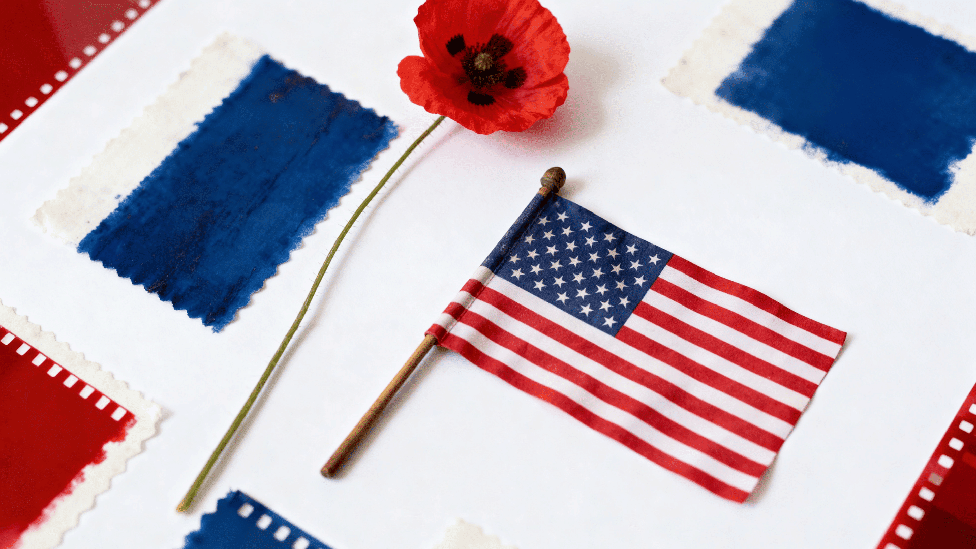 Flat lay of American flag and red poppy on white background with blue swatches, symbolizing Memorial Day colors and remembrance. (1)