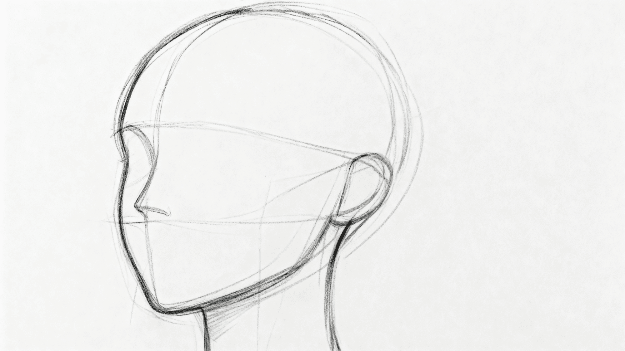 Pencil sketch of a female head showing basic shape and ear placement