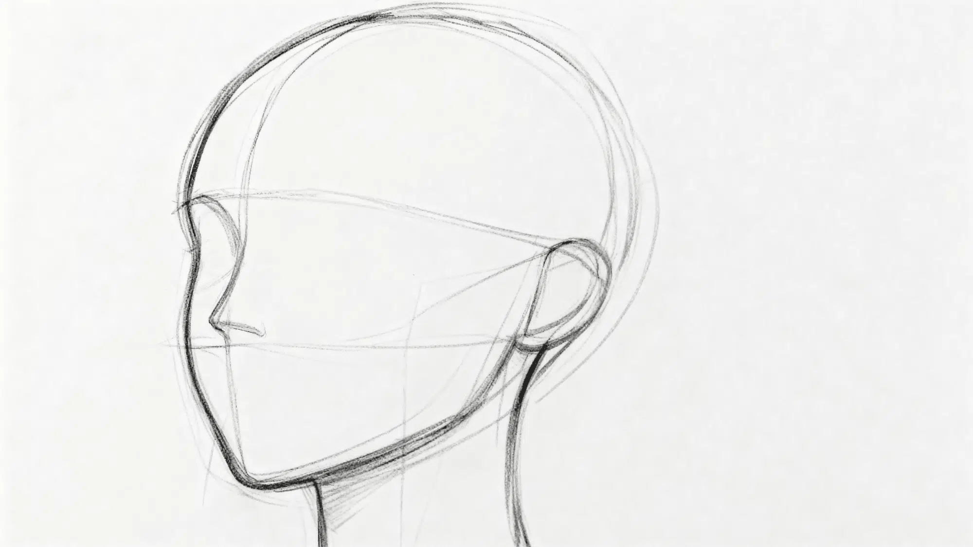 Pencil sketch of a female head showing basic shape and ear placement