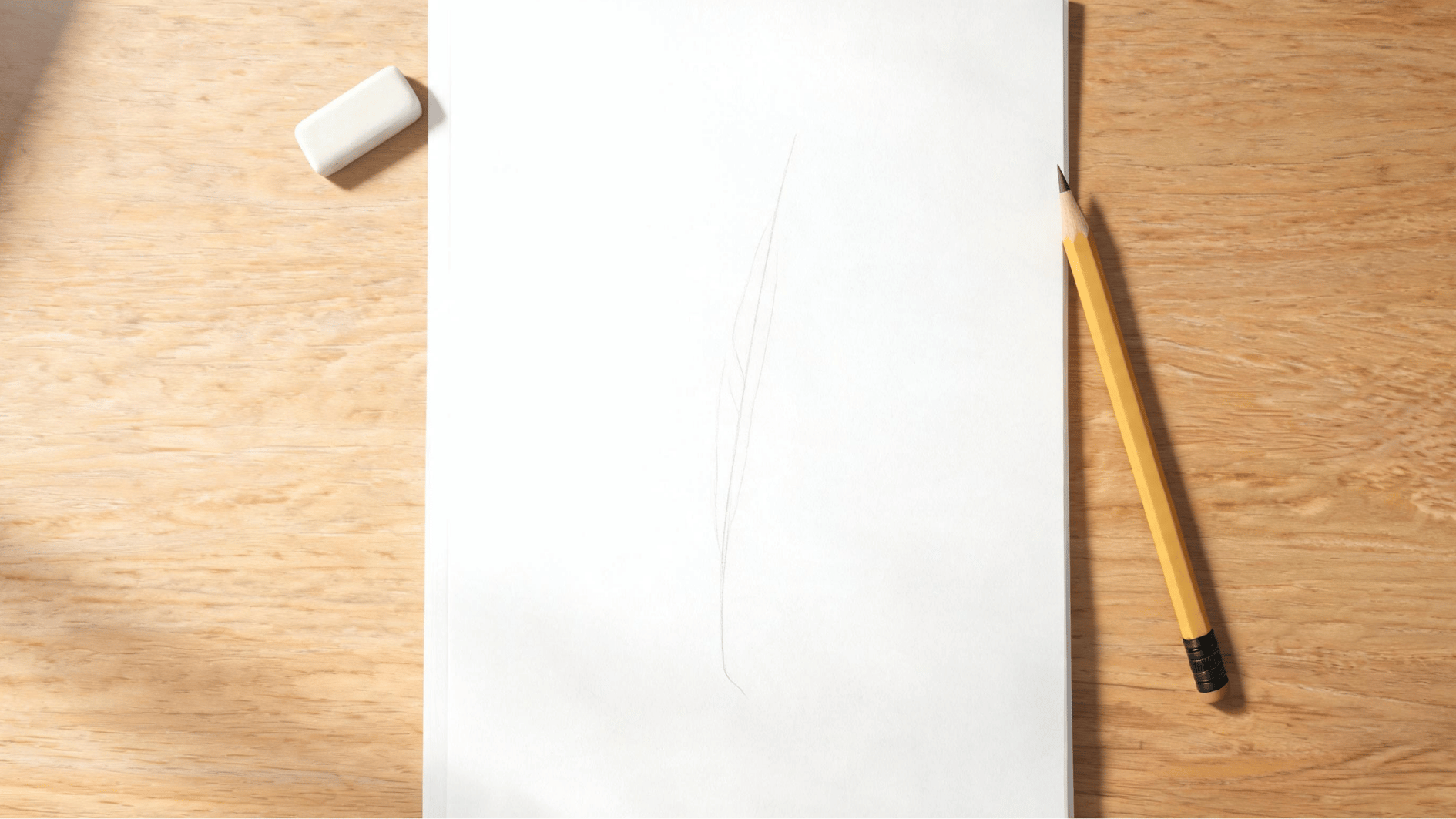 single light center shaft sketched as first step of feather drawing