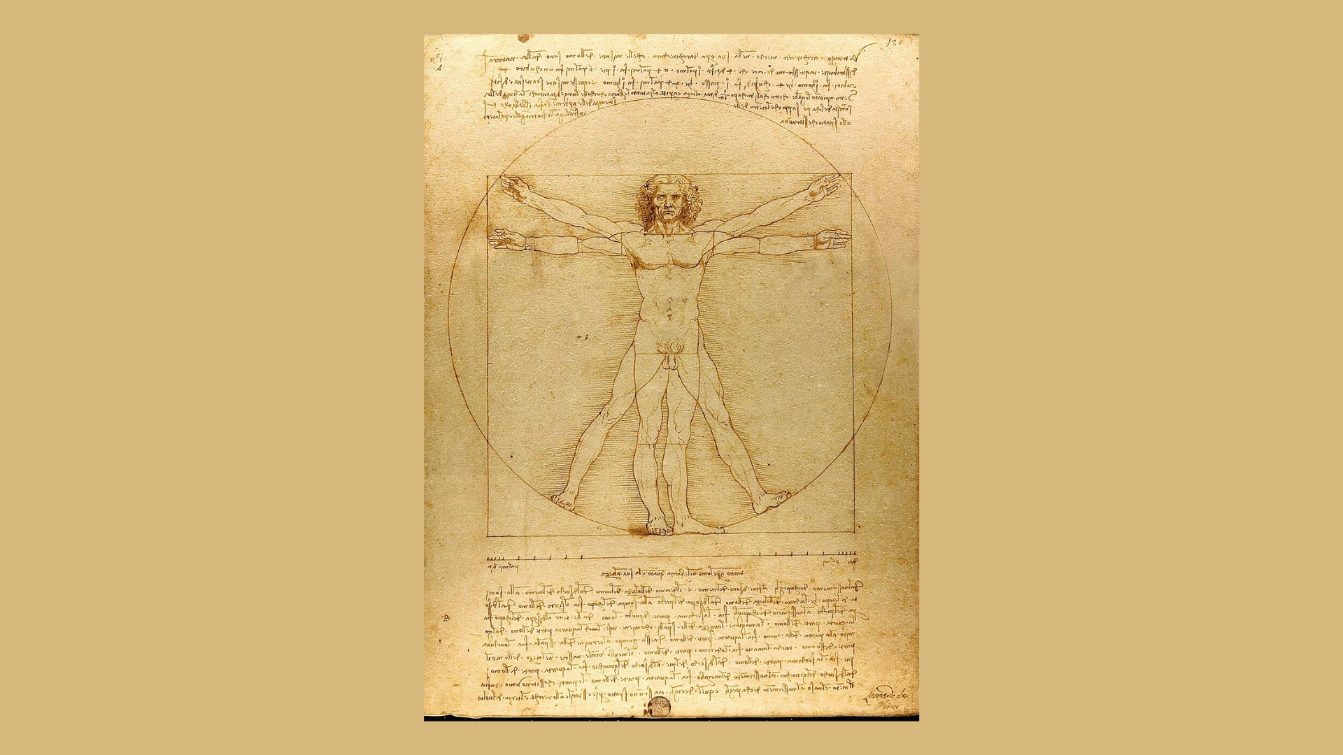 Leonardo da Vinci's Vitruvian Man showing ideal human proportions