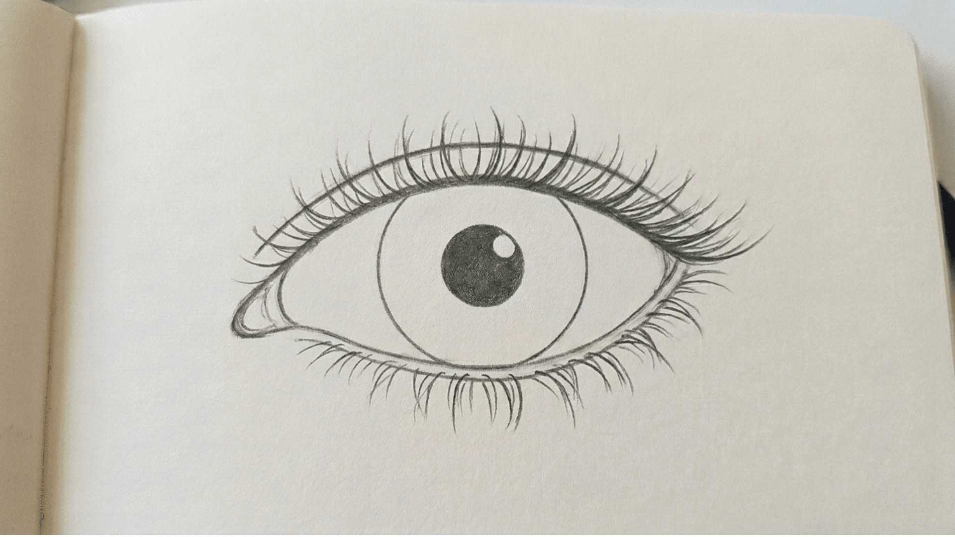 Eye sketch showing the iris, pupil, and eyelashes before detailed shading is applied.