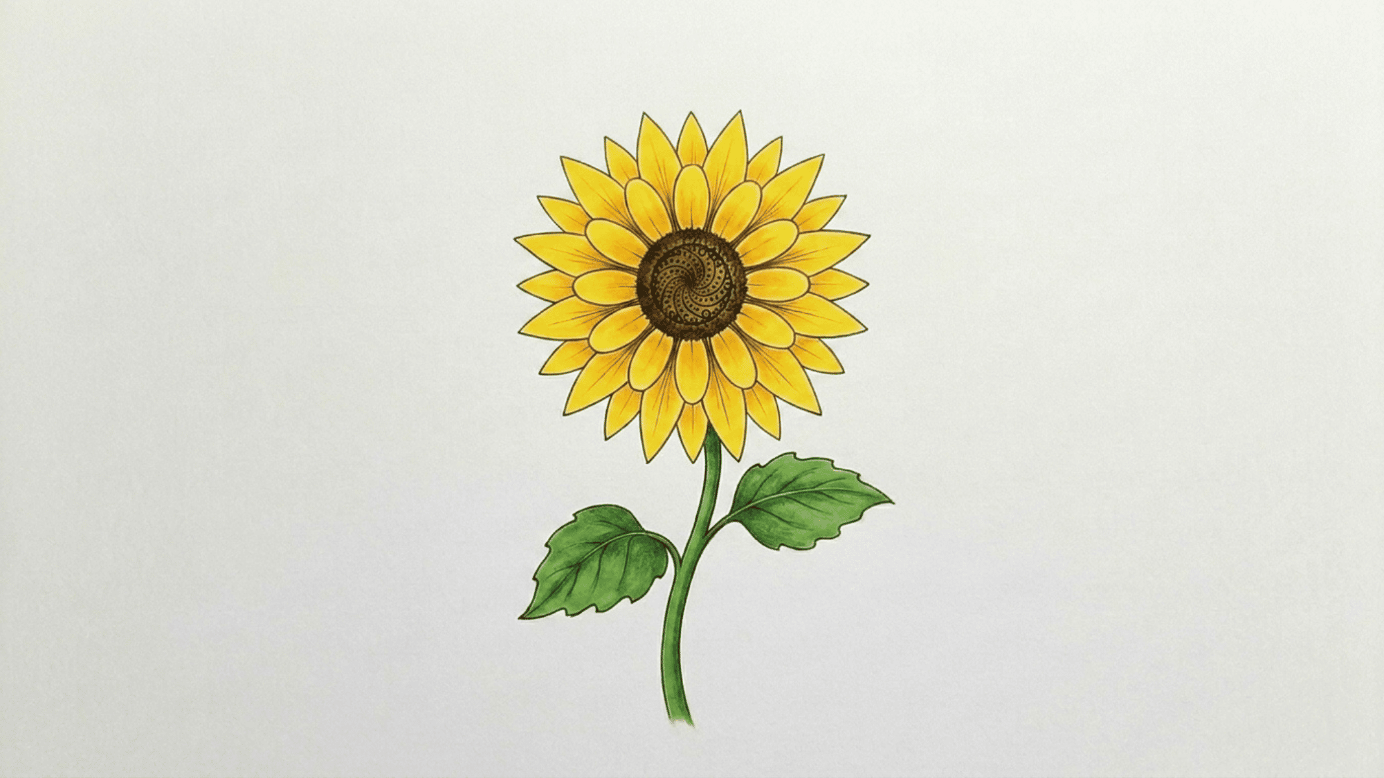 finished sunflower drawing colored with yellow and green pencils placed beside the artwork on a desk