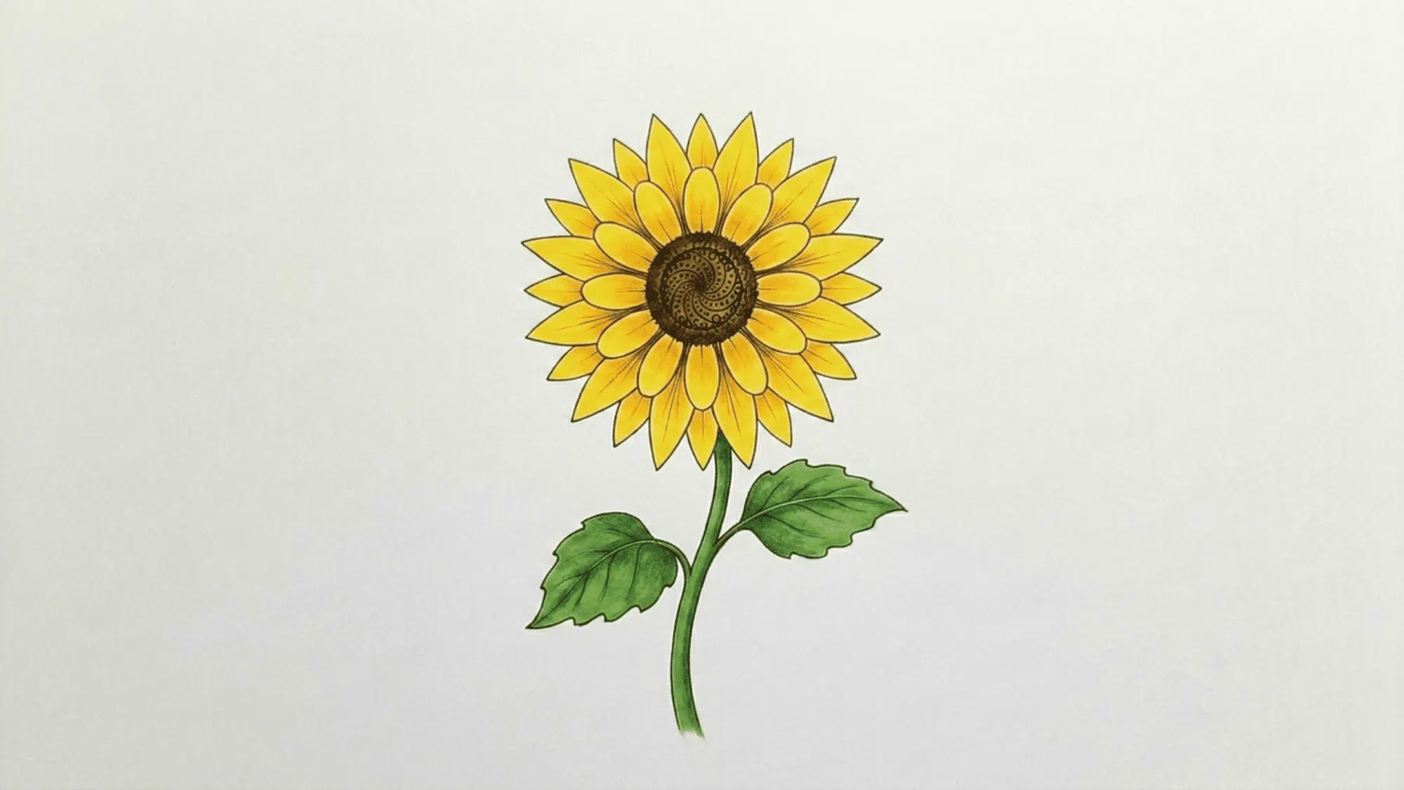 finished sunflower drawing colored with yellow and green pencils placed beside the artwork on a desk