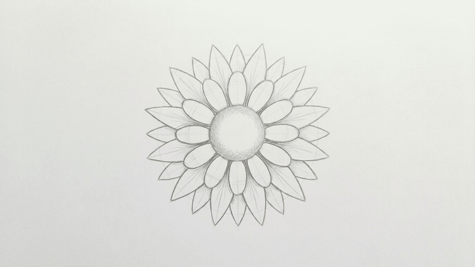 sunflower drawing with a second layer of pointed petals added behind the first row for depth
