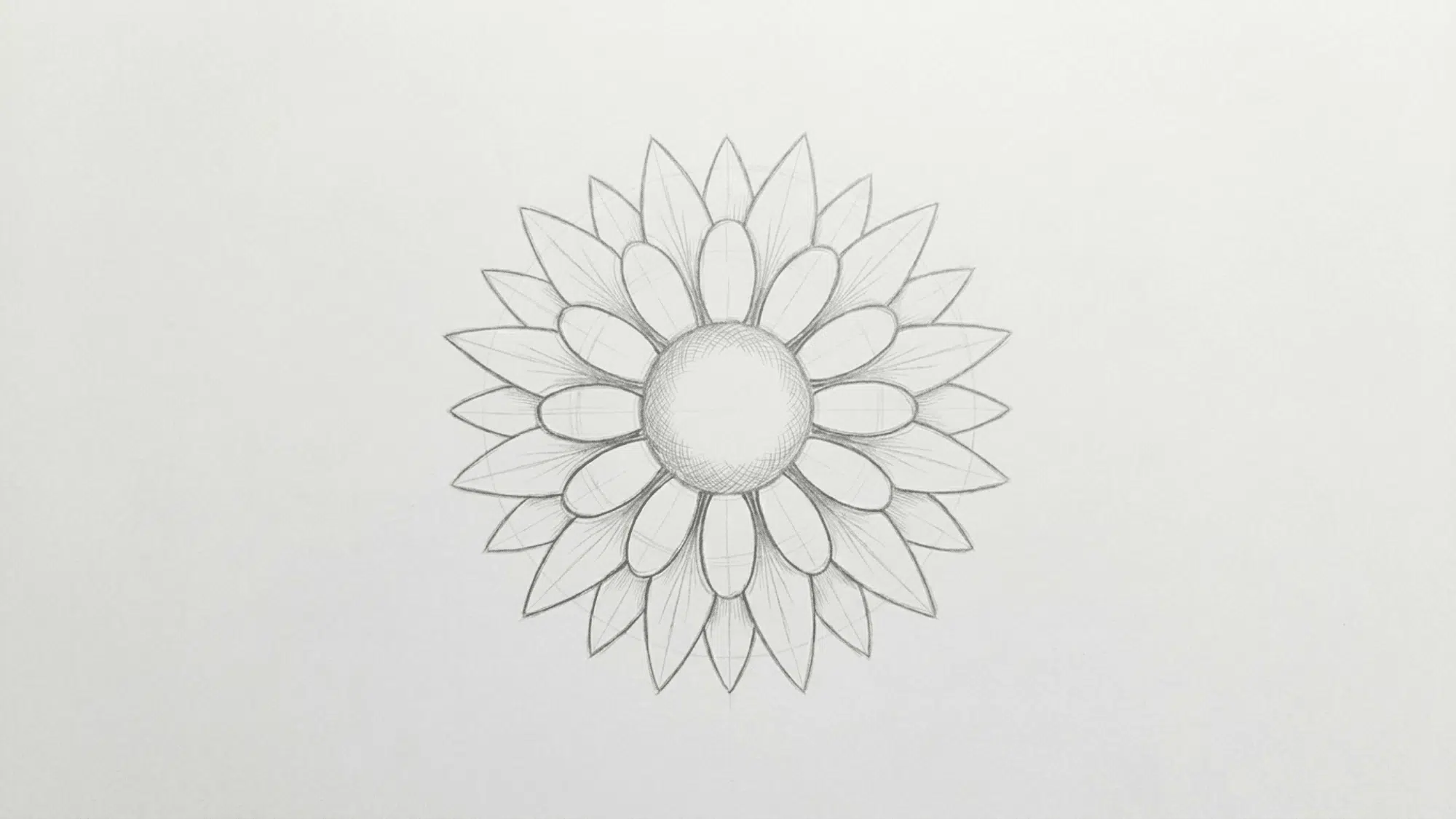 sunflower drawing with a second layer of pointed petals added behind the first row for depth