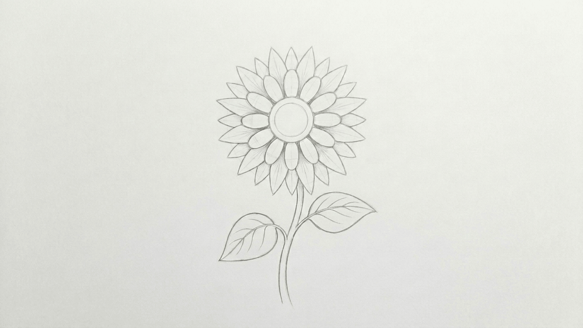 sunflower sketch with layered petals curved stem and two simple leaves drawn in pencil
