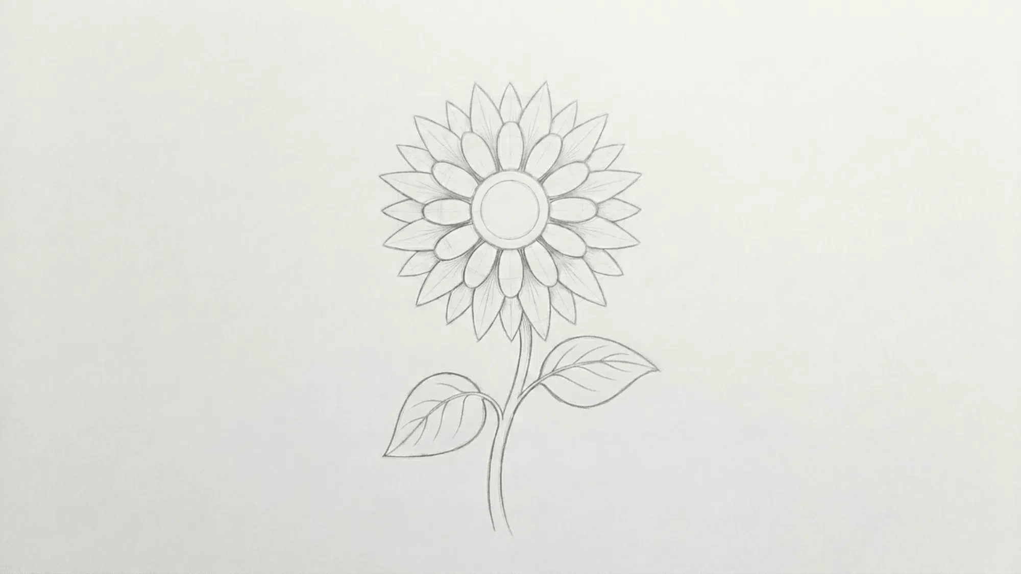 sunflower sketch with layered petals curved stem and two simple leaves drawn in pencil
