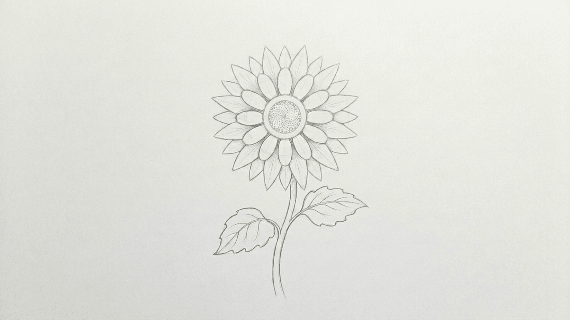 completed sunflower line drawing with detailed center layered petals stem and leaves on white paper
