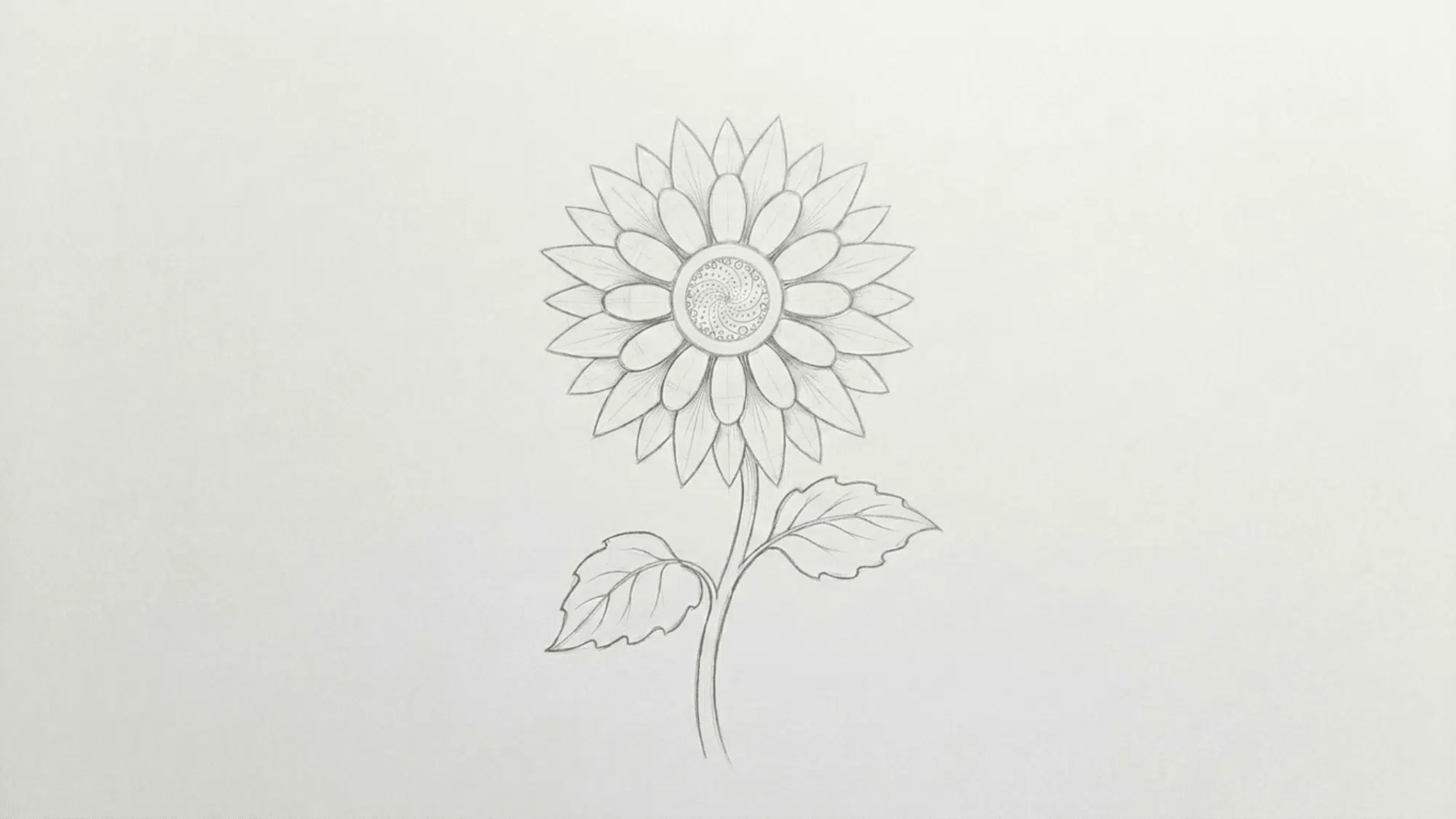 completed sunflower line drawing with detailed center layered petals stem and leaves on white paper