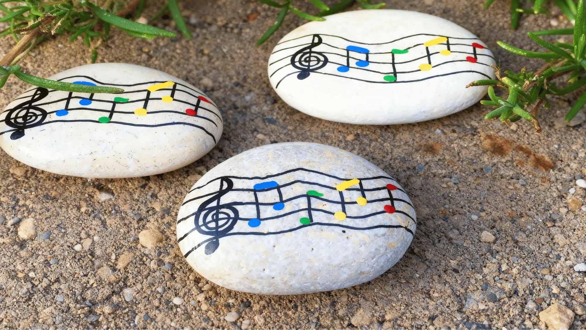 White rocks painted with colorful music notes and staff lines, placed outdoors among small green plants.