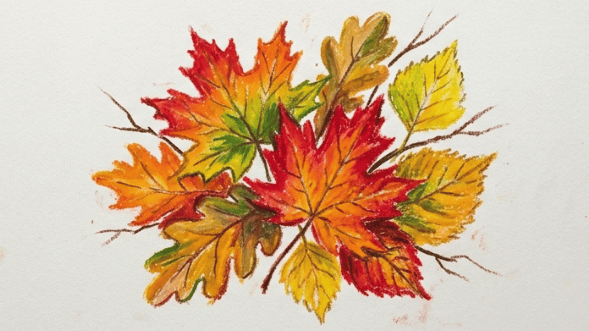 autumn leaves painting with red orange yellow leaves thin branches and white background