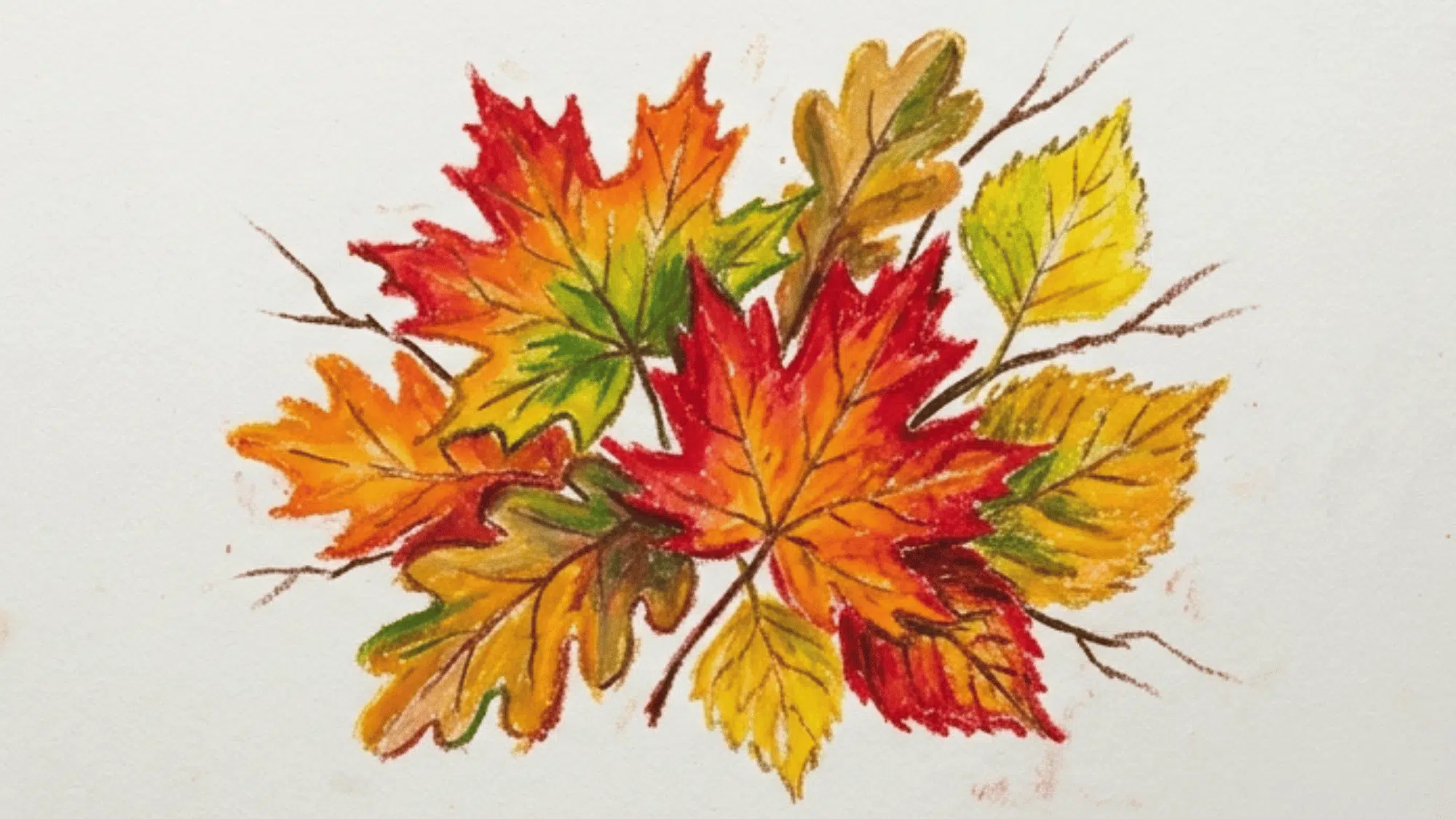 autumn leaves painting with red orange yellow leaves thin branches and white background