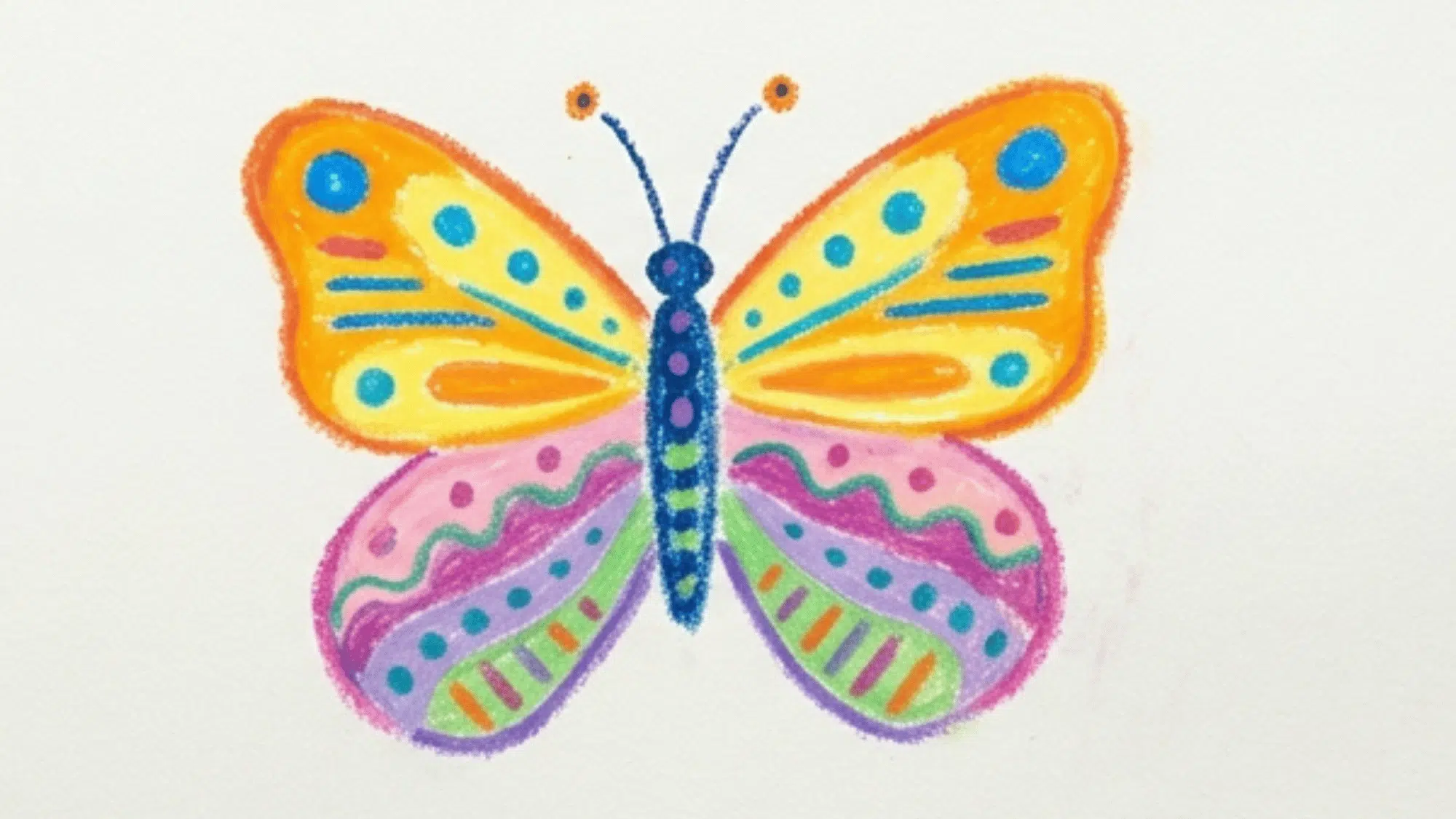 colorful butterfly drawing with bright wings simple patterns and clean white background