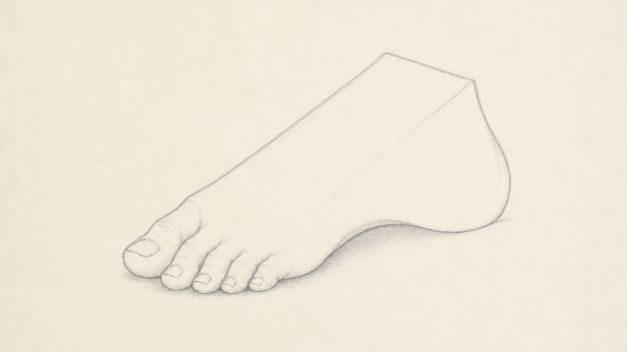 completed pencil drawing of a realistic foot with detailed toes arch heel and soft shading