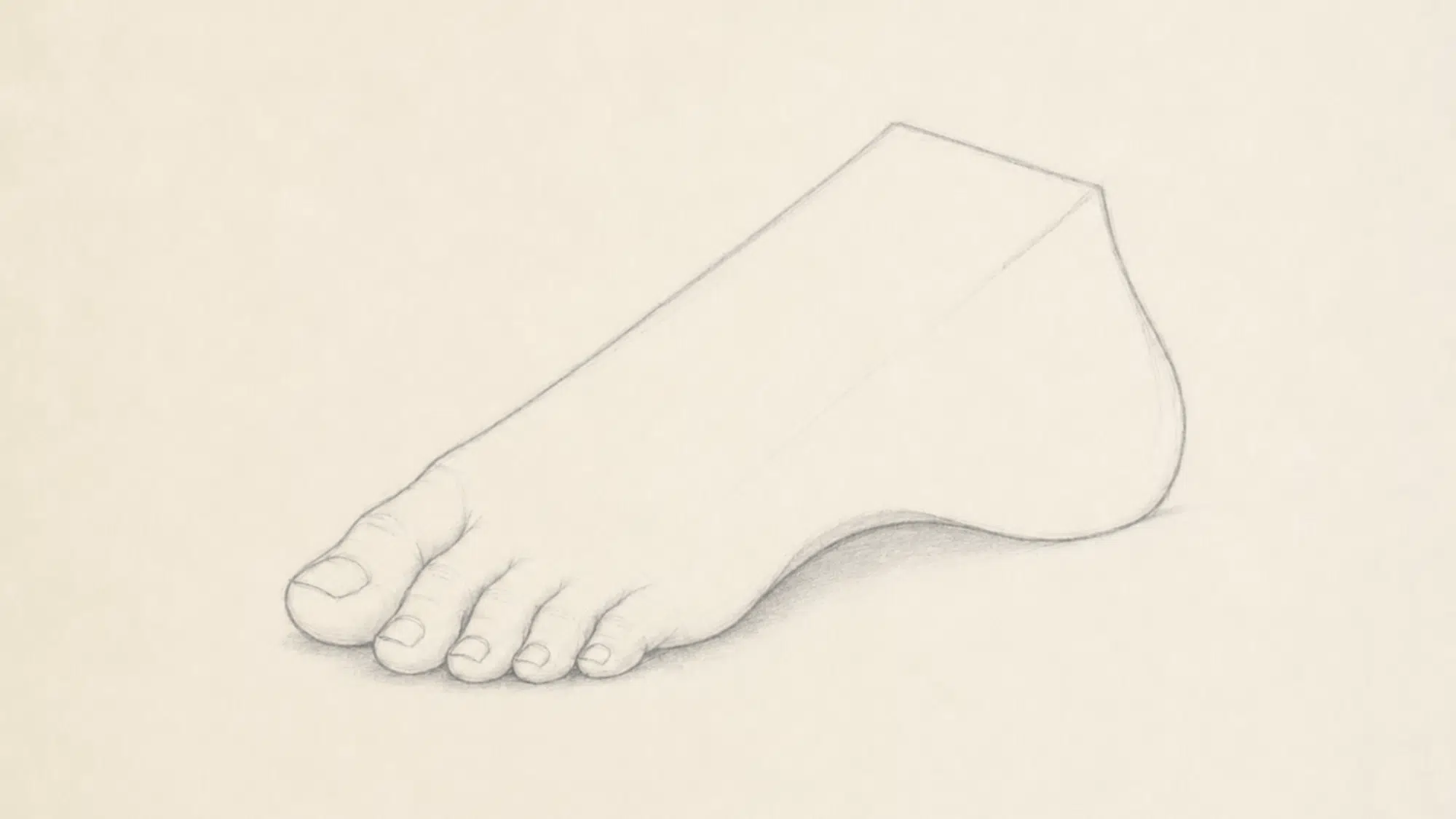 completed pencil drawing of a realistic foot with detailed toes arch heel and soft shading