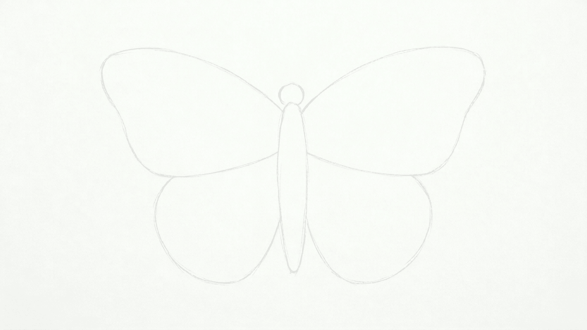 butterfly outline with upper and lower wings lightly sketched in pencil on a clean plain white page
