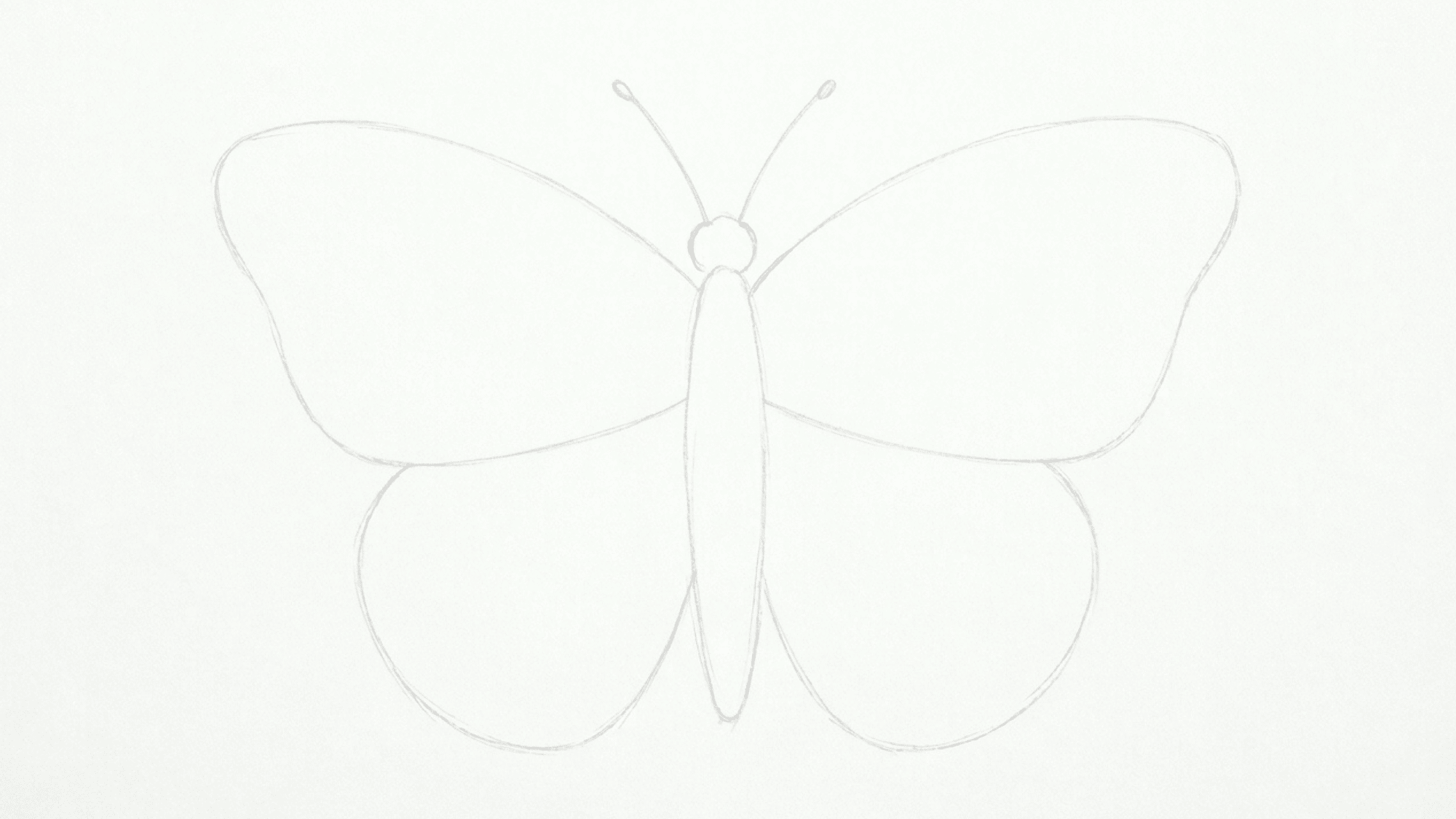 butterfly outline with curved antennae and rounded wings drawn neatly on a clean plain white page