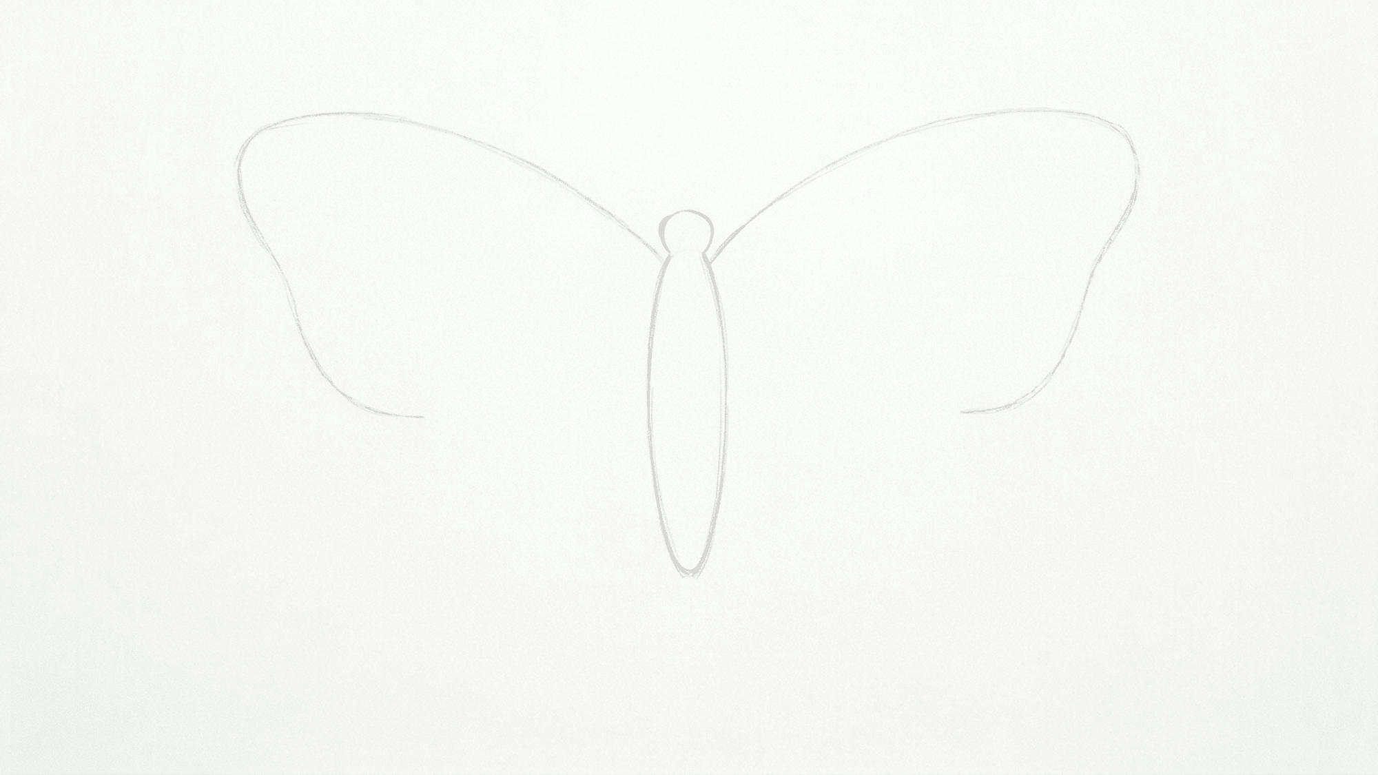 butterfly sketch with two large upper wings lightly drawn in pencil on a clean white page for beginners