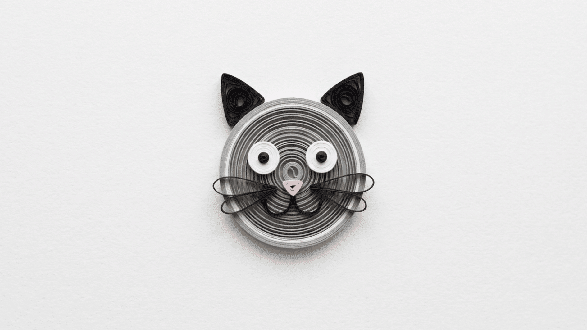 cat-paper