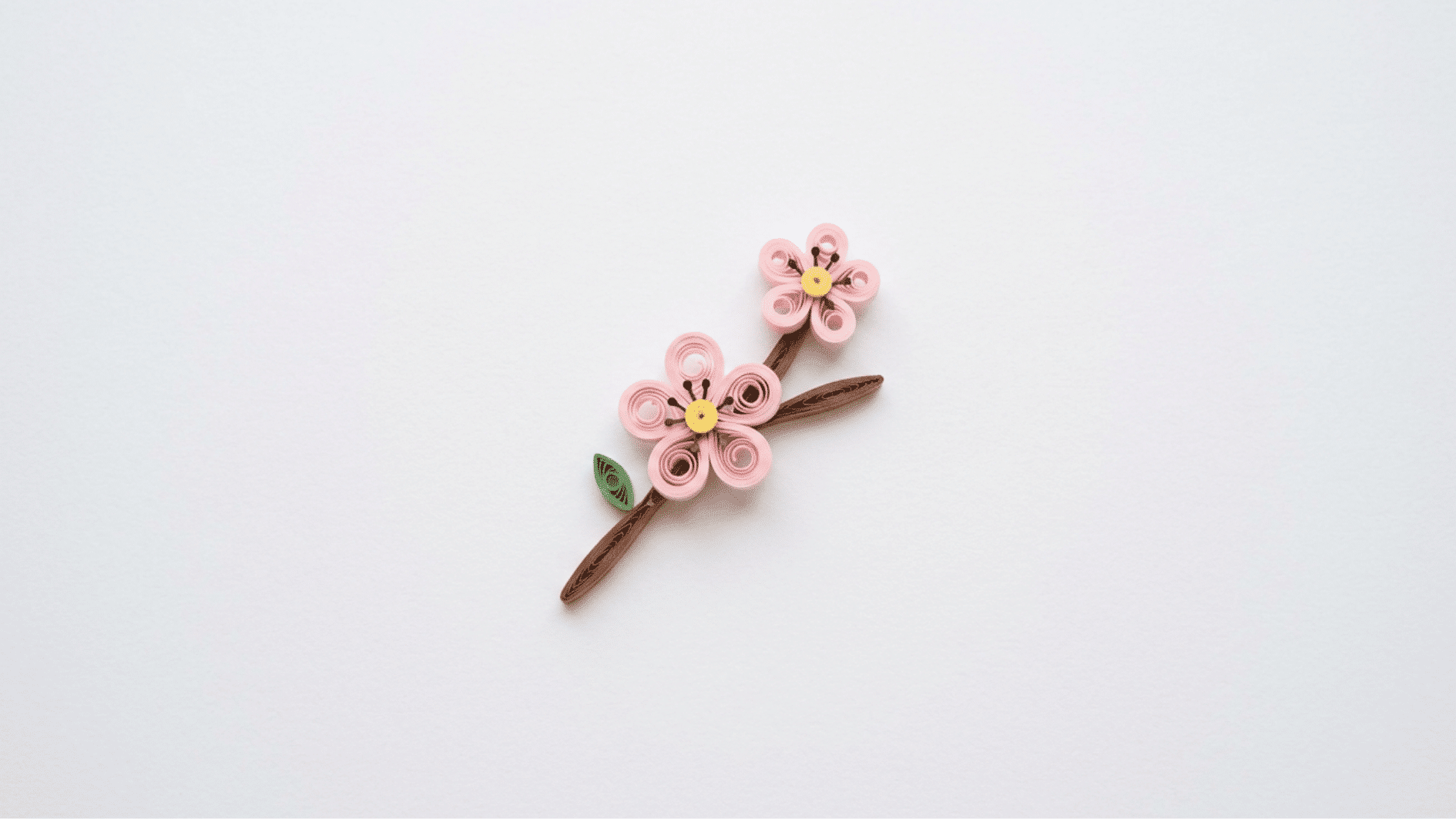 quilled paper cherry blossom branch with pink flowers yellow centers on white background